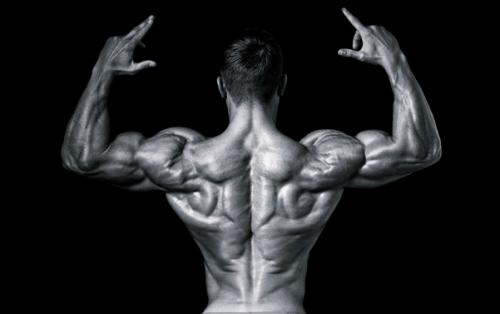 Райан Терри бодибилдер. Восходящая звезда Райан Терри (Ryan Terry)