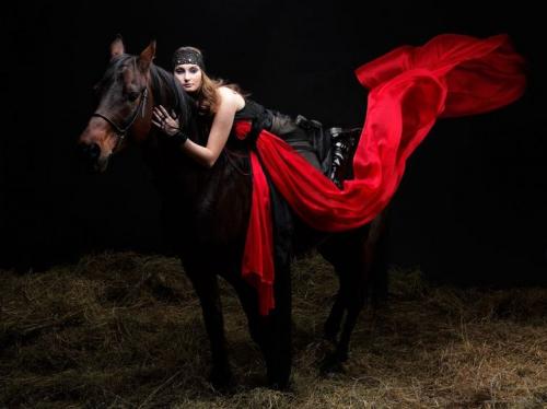 Конник девушка и лошадь. Девушка и лошадь