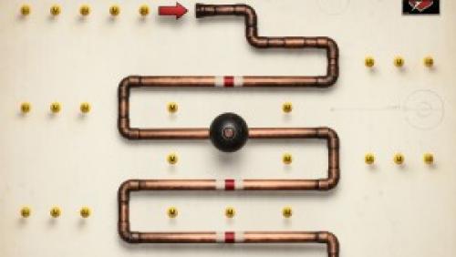 Пробиотики для спортсменов. Руководство по пробиотикам для спортсмена