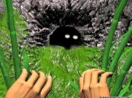 Помогает ли айкидо похудеть. Причина первая. Преодоление своих страхов.