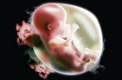 Что влияет на выработку гормона роста. Где и как производится?