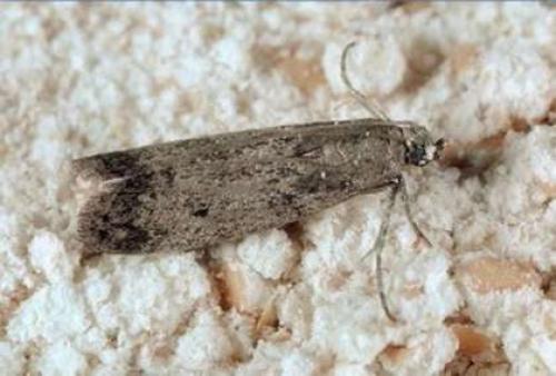 Как питается Софи Марсо. Домашний очаг psn-travel.ru: Здоровье, отношения, диеты, дети, магия, семья и другие самые интересные статьи на сайте.