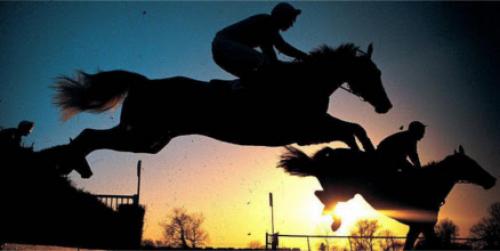 Девушка конник для парня. Статусы про конный спорт