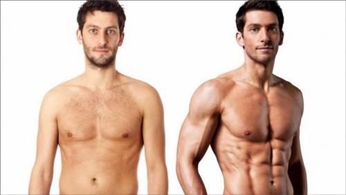 Эффективные добавки для роста мышц. Механизм роста мышц