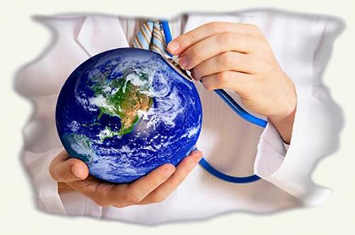 Короткие факты о здоровье. Здоровье факты — 55 интересных фактов о здоровье