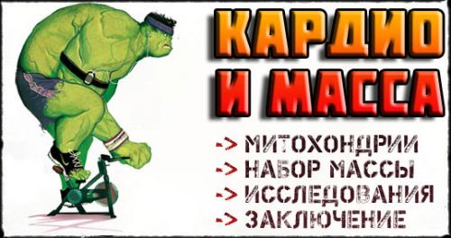 Кардио на массе, как делать. 