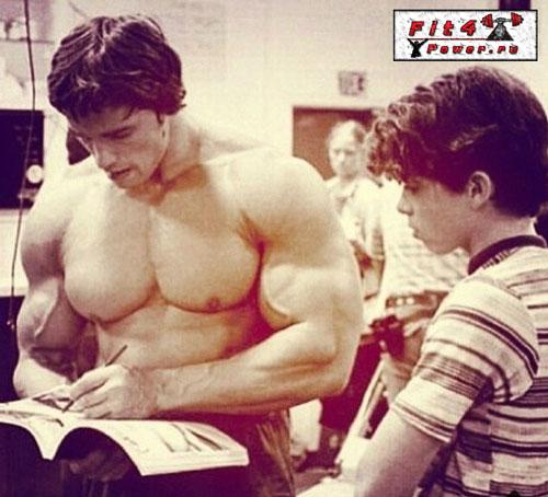 Нужно ли делать кардио на курсе стероидов. Питание на курсе стероидов