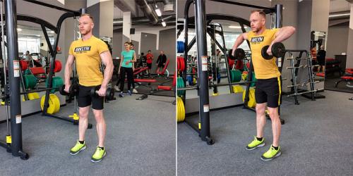 Комплексные упражнения для всего тела в домашних условиях. Комплекс базовых упражнений для дома