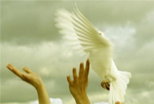 Любовь это зависимость или Свобода. Любовь и свобода