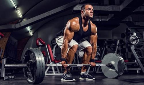 Упражнения для спины. Анатомия мышц спины