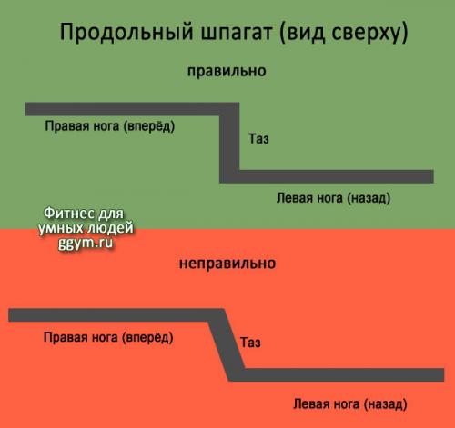 Как сесть на шпагат правильно. Правильный шпагат для начинающих и опытных