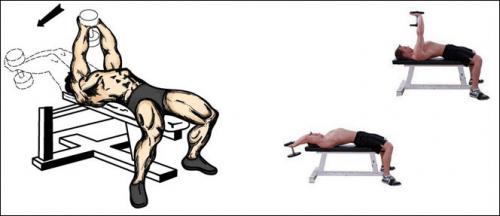 Упражнения на лопатки - с гантелями. Популярные комплексы упражнений