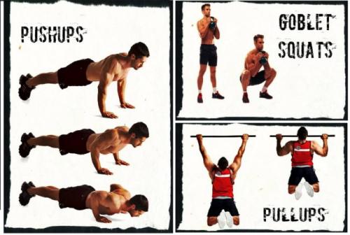 Кроссфит для начинающих. Кроссфит: базовые упражнения для начинающих