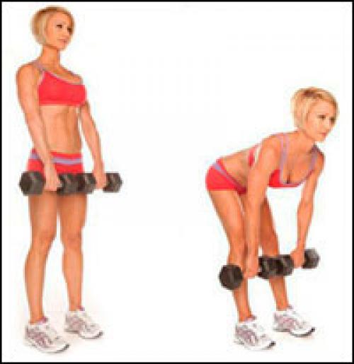 Упражнения на лопатки - с гантелями. Популярные комплексы упражнений