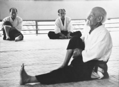 Айкидо Айкикай, что это. Что такое айкидо Айкикай?