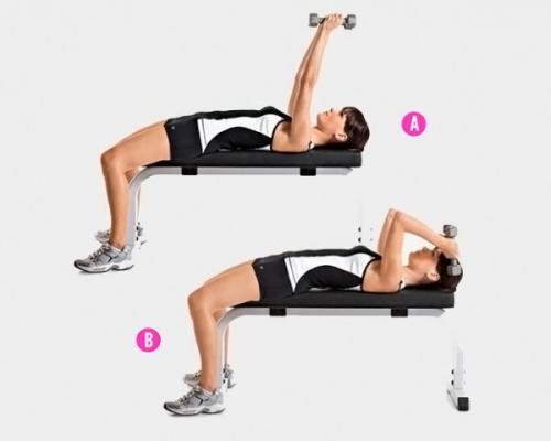 Упражнения для трицепсов для женщин. Динамика Жизни Путь к здоровому образу жизни, стройности и счастью