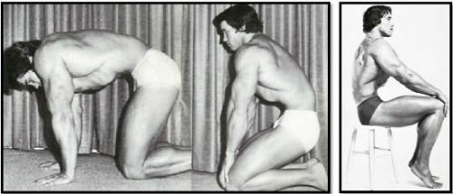 Упражнения для тонкой талии стоя. Эффективные упражнения для тонкой талии