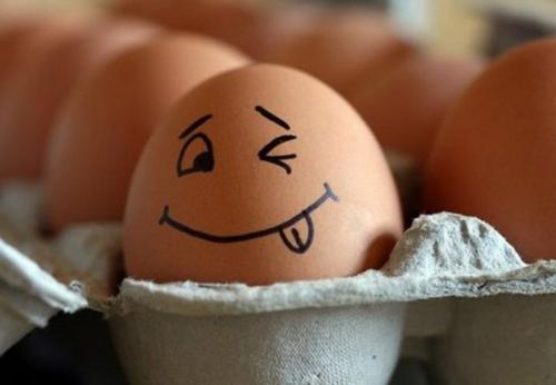 Фитнес яйца. Яйца в рационе бодибилдера