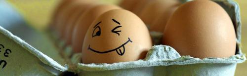 Что такое фитнес яйца. Яйца в фитнесе и диетологии.