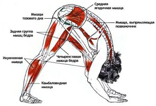 Паршвоттанасана.