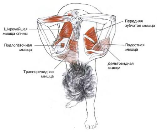 Паршвоттанасана.
