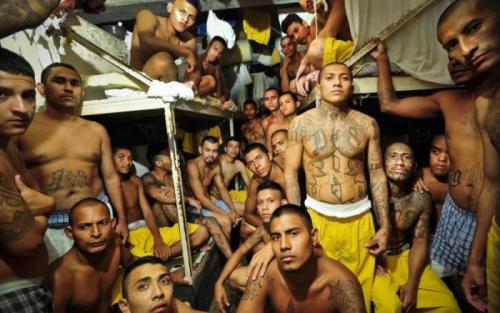 Чарльз бронсон заключенный программа тренировок. Высокоэффективные программы тренировок, разработанные заключенными (10 фото)