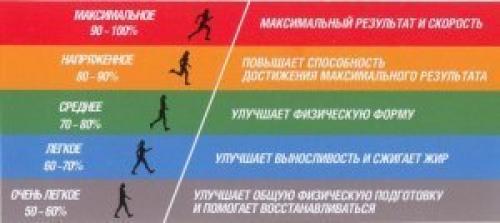 Интенсивная зона СЕРДЕЧНОГО ритма. Пульсовые зоны. Оптимальный режим тренировок.