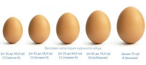 Размер куриного яйца. Категории куриных яиц и их масса