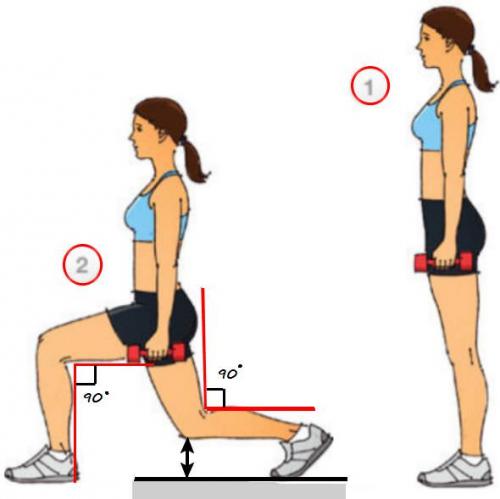 Упражнения Для Снижения Веса В Тренажерном Зале Для Женщин