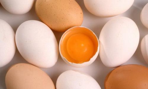 Химический состав куриного яйца