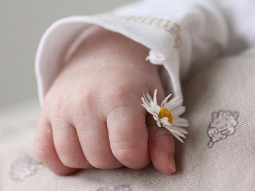 Соотношение белков жиров и углеводов для детей. Белки, жиры и углеводы в питании детей