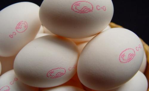 Размер куриного яйца. Категории куриных яиц и их масса