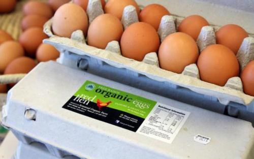 Размер куриного яйца. Категории куриных яиц и их масса