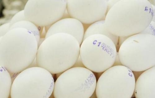 Размер куриного яйца. Категории куриных яиц и их масса