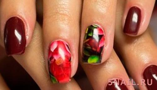 Цвет Марсала ногти. С какими цветами сочетается Марсала, кому подойдет такой лак?