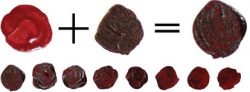 Сочетание серого и бордового цвета в интерьере. Бордовый цвет в интерьере и его сочетание с другими цветами