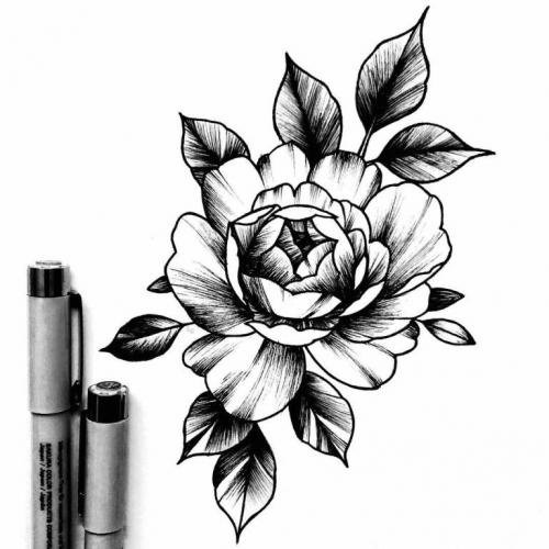 Тату роза эскиз. Фото и эскизы татуировки роз