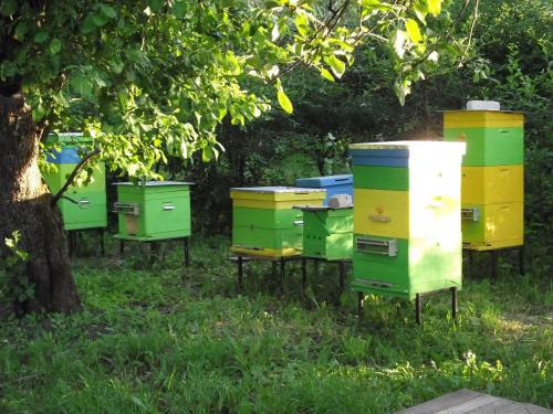 Сколько в меде углеводов. Состав