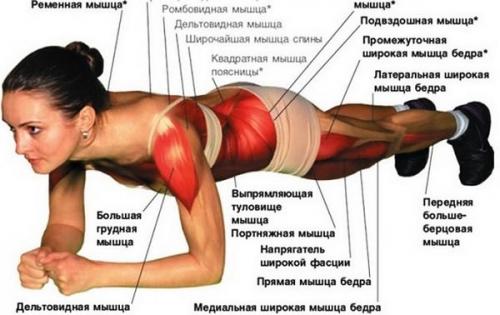 Противопоказания к упражнению планка. Темная сторона планки – противопоказания, вред 01