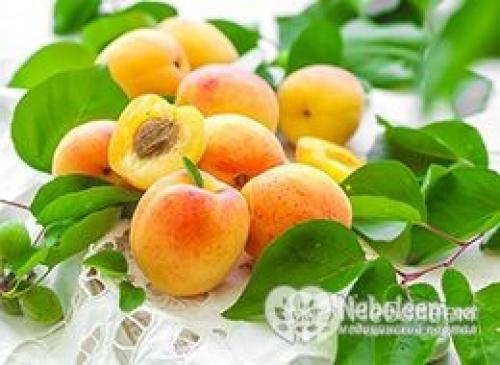 Калорийность абрикоса. Калорийность абрикосов