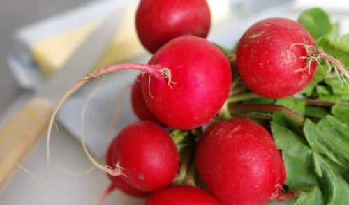 Редис калорийность. Калорийность редиса на 100 г