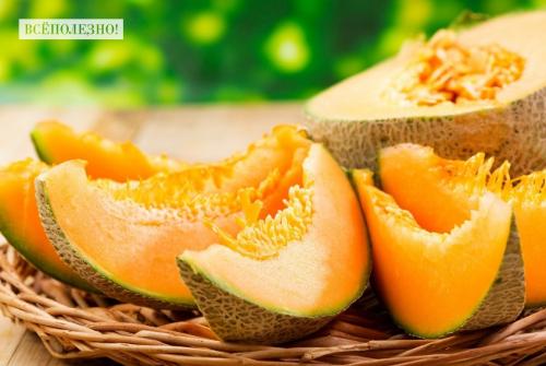 Дыня польза. Польза