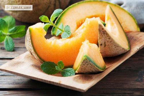 Дыня польза. Польза