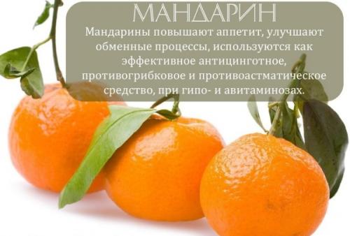 Vfylfhbys rfkkjhbb. Мандариновая диета: основные принципы, меню на 3 дня