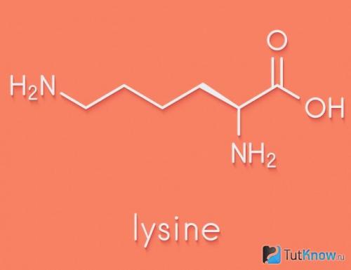 Какие продукты богаты белком. Какие продукты содержат белок в большом количестве 04 Какие продукты богаты белком. Какие продукты содержат белок в большом количестве 04