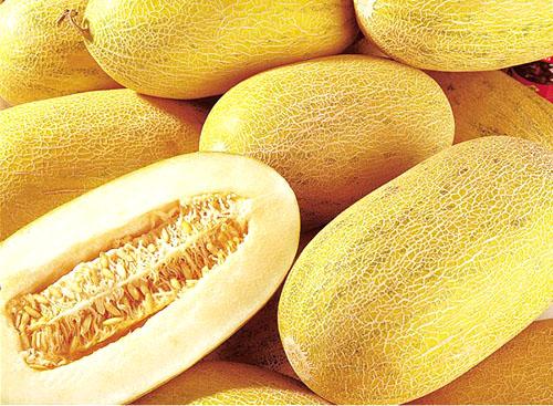 Дыня польза. Чем полезна дыня для организма человека?