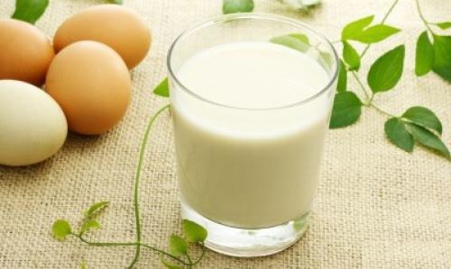 Продукты богатые белком список. Особенности белковой диеты. Что важно знать  