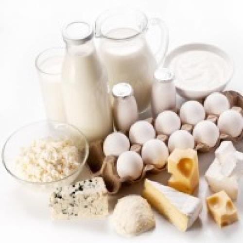 Продукты богатые белком список. Особенности белковой диеты. Что важно знать   05