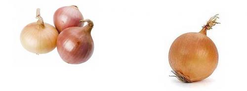 Лук калорийность. Диетические свойства: