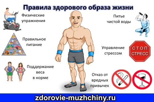 Что дает здоровый образ жизни. Работа и ЗОЖ   09